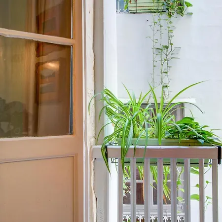 The House In Old Mint Street